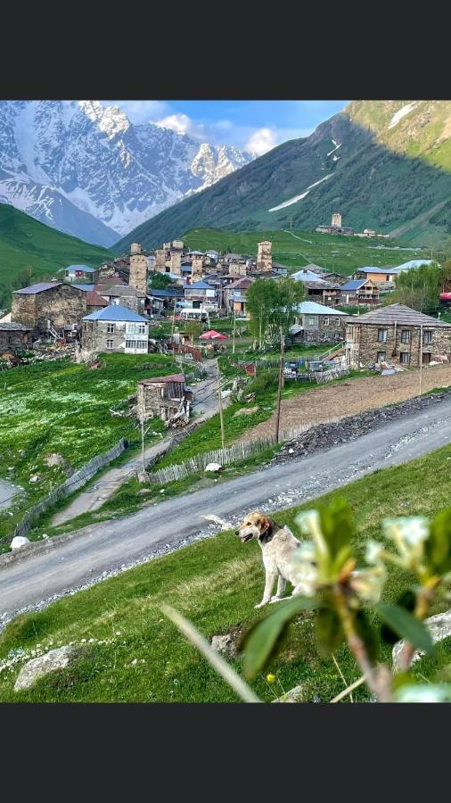 Chvibiani Guesthouse & Bar Usguli Kültér fotó