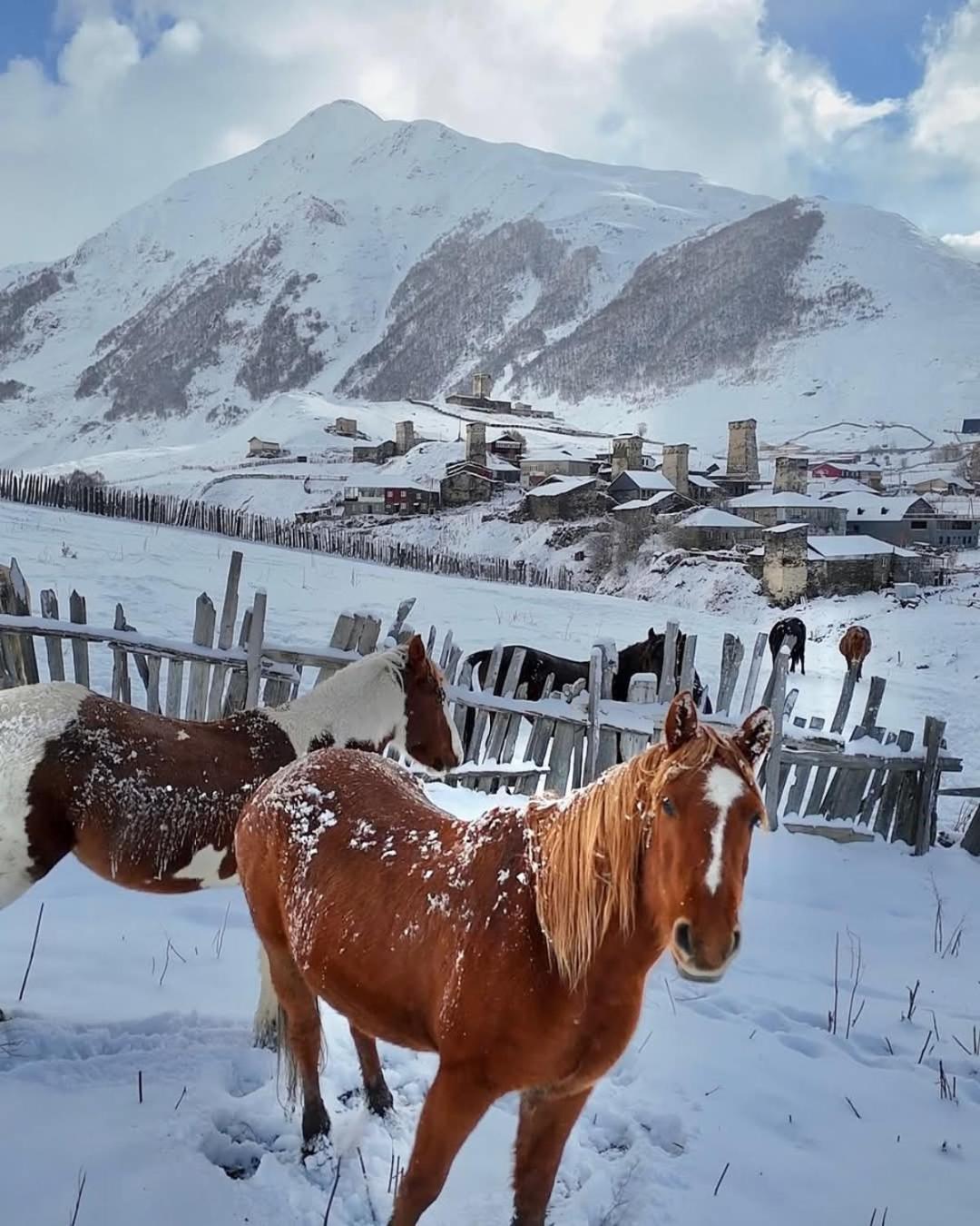 Chvibiani Guesthouse & Bar Usguli Kültér fotó